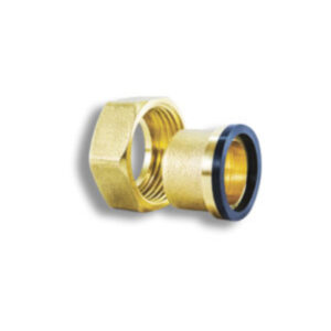 Poluholender mesingani